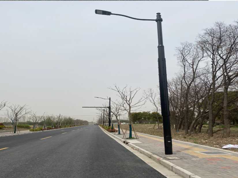 满城区上海综合杆 太阳能路灯工程